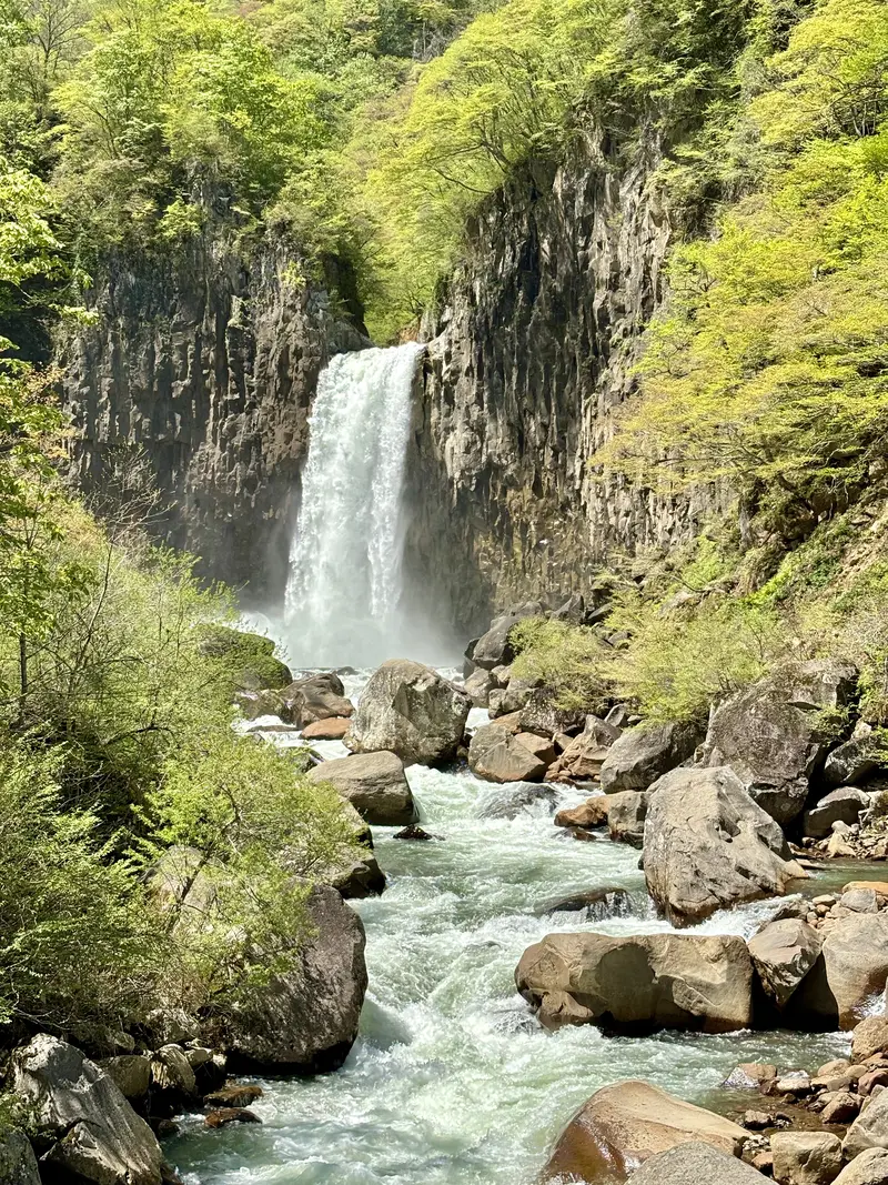 新緑に囲まれた断崖絶壁から、激しい水しぶきを上げて流れ落ちる雄大な滝。